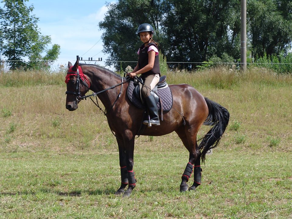 http://www.farmakotelsko.cz/images/kone/na web/KONE6.jpg